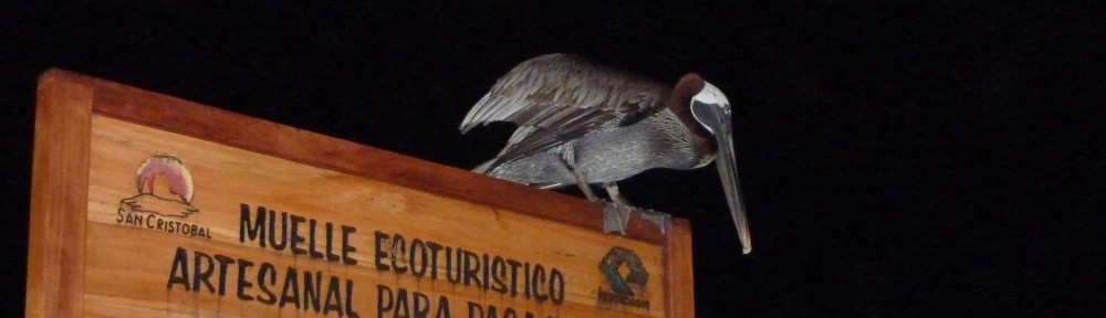 Galapagos, Ecuador